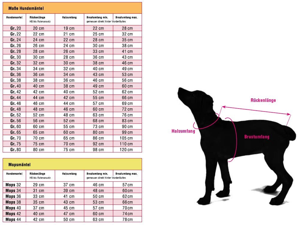 ЗИМНИ ДРЕХИ ЗА КУЧЕТА